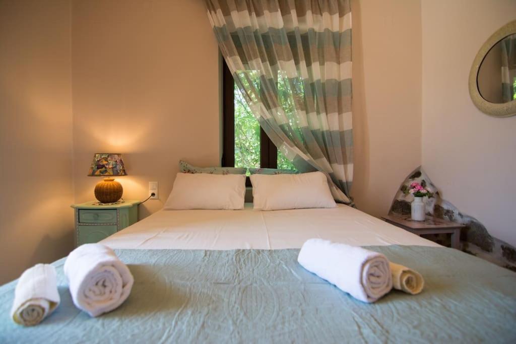 Papa-Antonis Stone House Villa ซารอส ภายนอก รูปภาพ